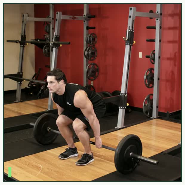 Barbell Hack Squat demonstration