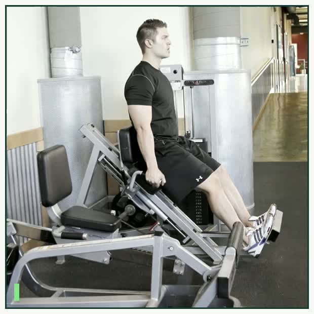 Calf Press demonstration