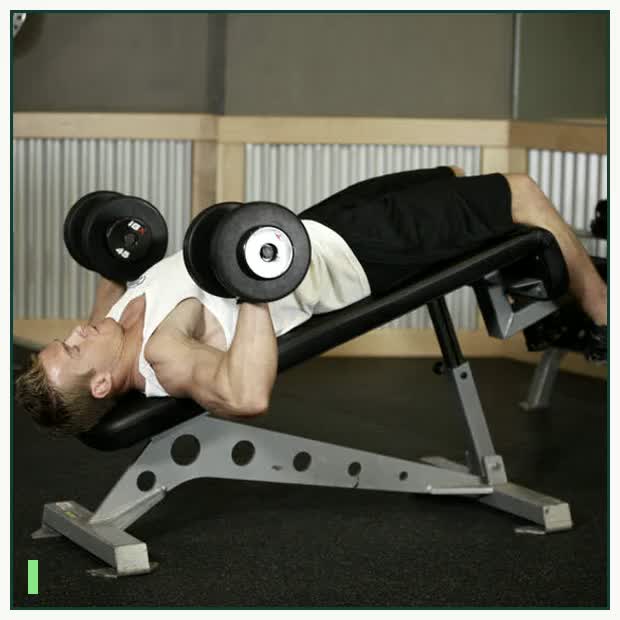Decline Dumbbell Bench Press demonstration