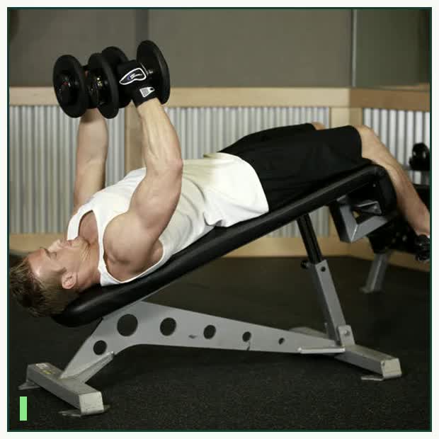 Decline Dumbbell Flyes demonstration