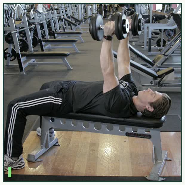 Dumbbell Bench Press with Neutral Grip demonstration