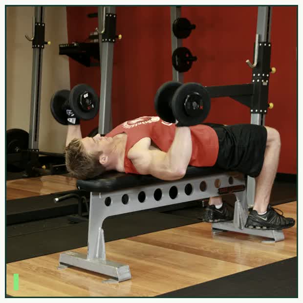 Dumbbell Bench Press demonstration