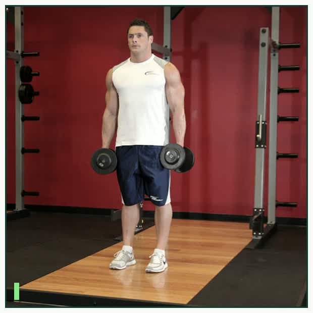 Dumbbell Rear Lunge demonstration