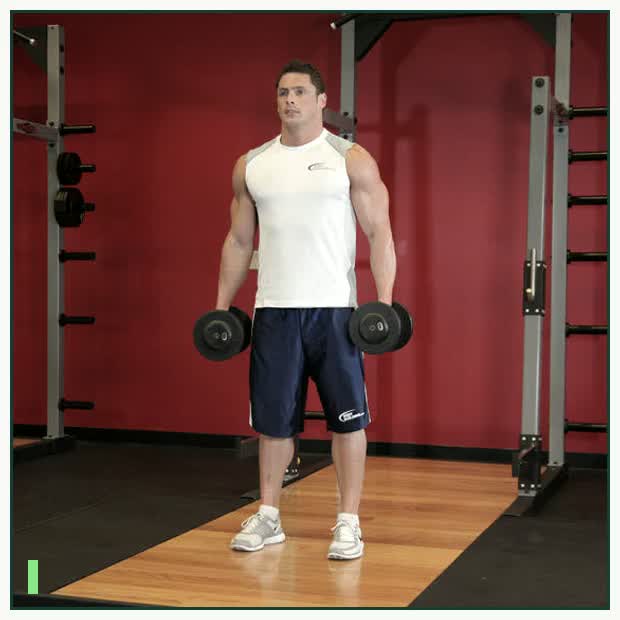 Dumbbell Squat demonstration