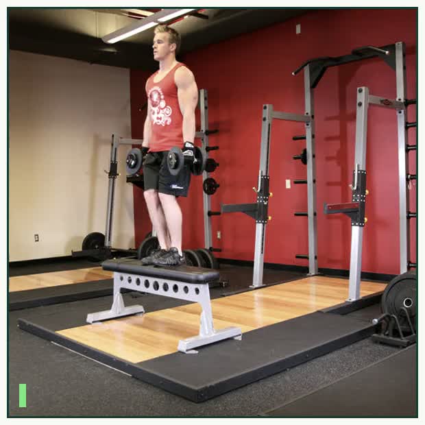 Dumbbell Step Ups demonstration