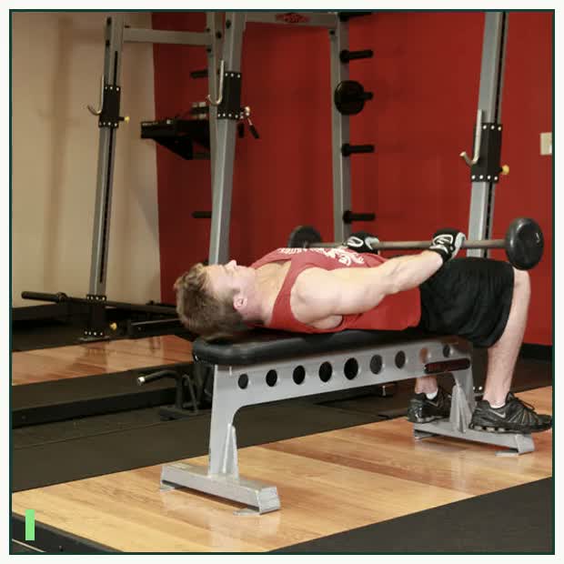 Front Raise And Pullover demonstration