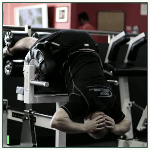 Glute Ham Raise demonstration