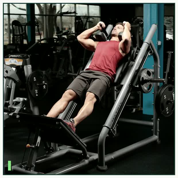Hack Squat demonstration