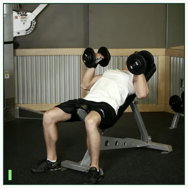 Hammer Grip Incline DB Bench Press demonstration