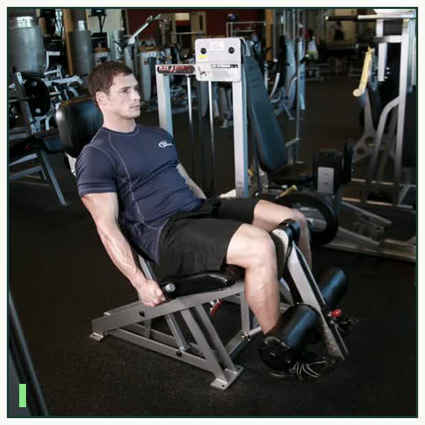 Leg Extensions demonstration