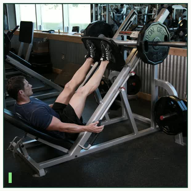 Leg Press demonstration