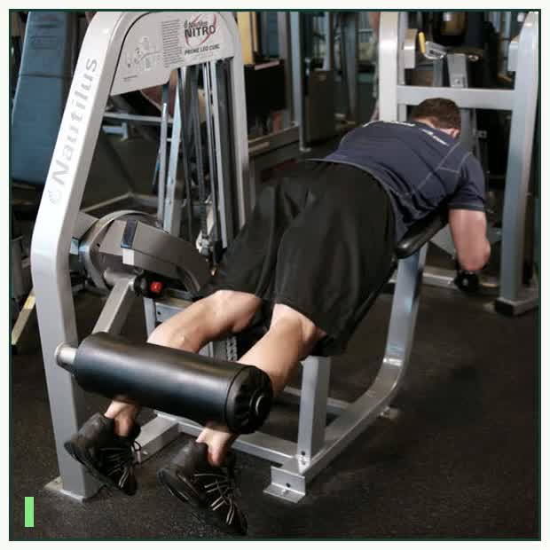 Lying Leg Curls demonstration