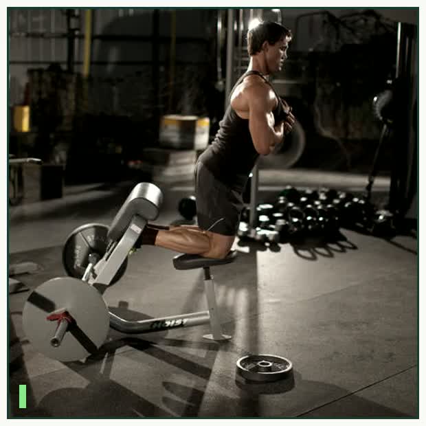 Natural Glute Ham Raise demonstration