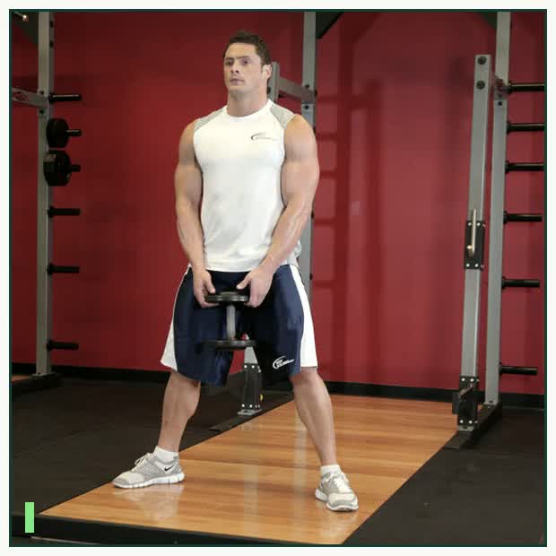 Plie Dumbbell Squat demonstration