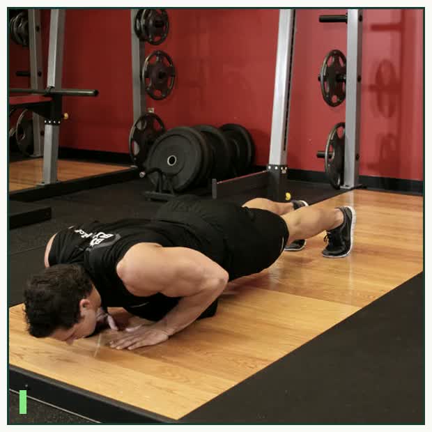 Pushups (Close and Wide Hand Positions) demonstration