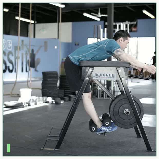Reverse Hyperextension demonstration