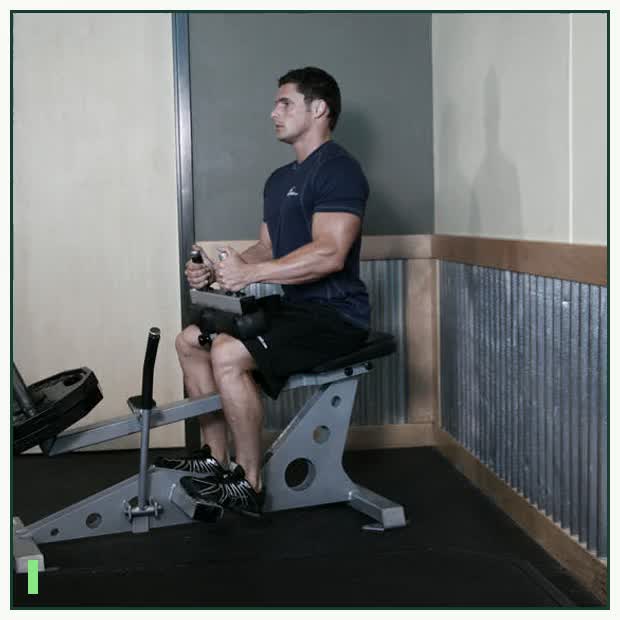 Seated Calf Raise demonstration