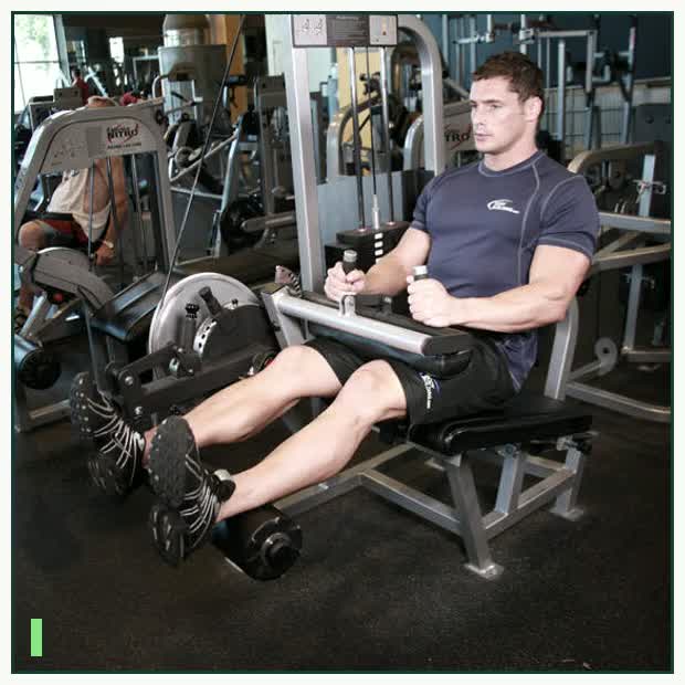 Seated Leg Curl demonstration