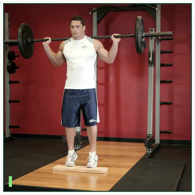 Standing Barbell Calf Raise demonstration