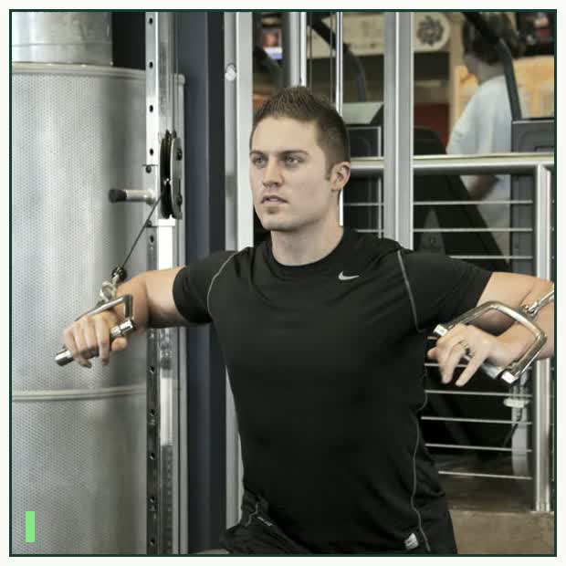 Standing Cable Chest Press demonstration