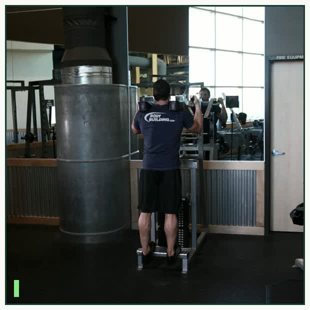 Standing Calf Raises demonstration