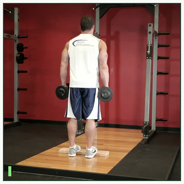 Standing Dumbbell Calf Raise demonstration