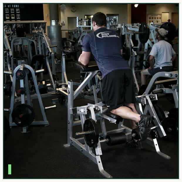 Standing Leg Curl demonstration
