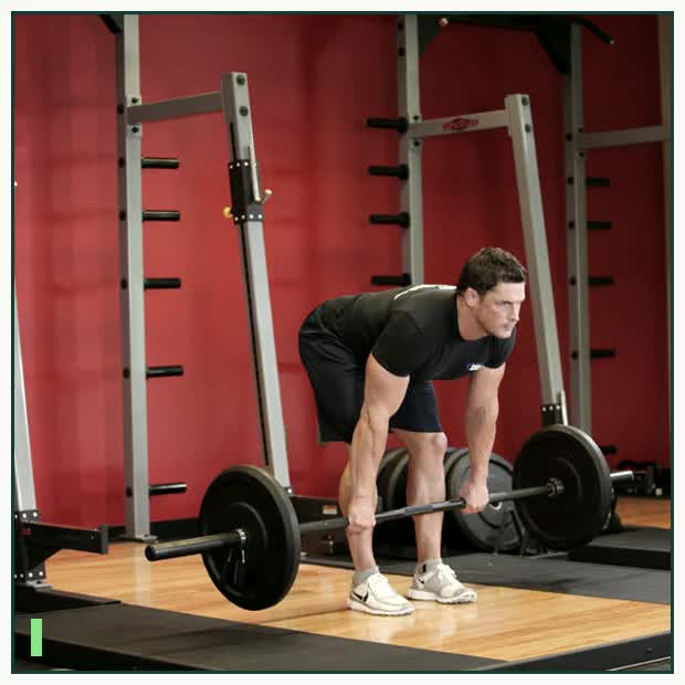 Stiff-Legged Barbell Deadlift demonstration