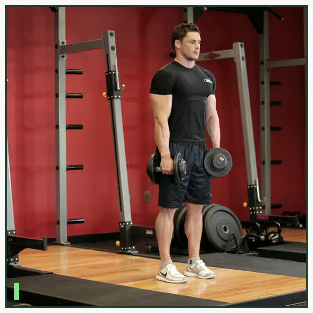 Stiff-Legged Dumbbell Deadlift demonstration